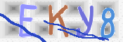 キャプチャ画像