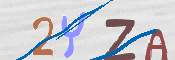 キャプチャ画像