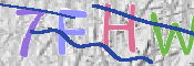 キャプチャ画像